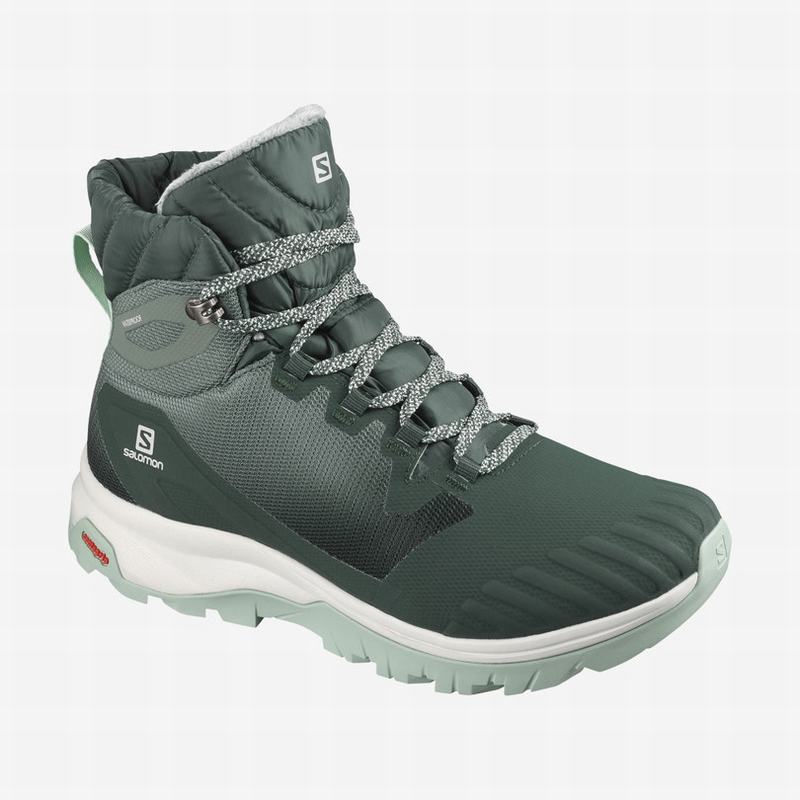 Bottes Hiver Salomon Femme Vert - Salomon VAYA BLAZE THINSULATE™ CLIMASALOMON™ WATERPROOF - France (